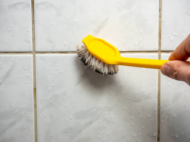 Best Mold Removal Company Near Me  in Gregory, TX
