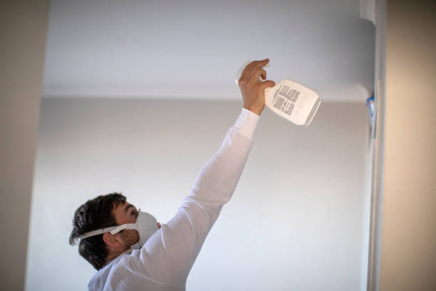 Best Mold Testing  in Gregory, TX