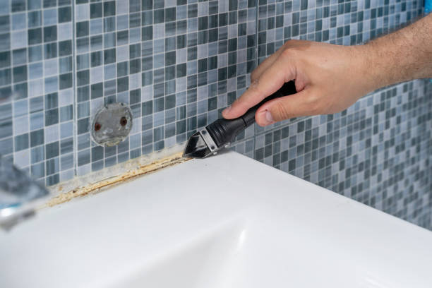Trusted Gregory, TX Mold Removal Experts