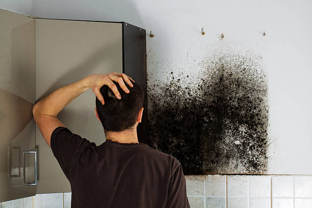 Best Mold Cleaning Services  in Gregory, TX