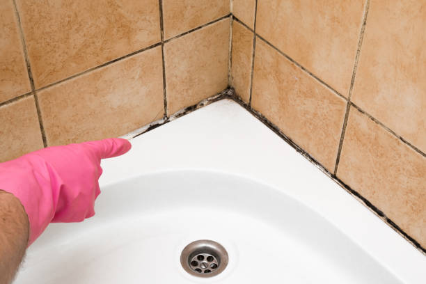 Best Mold Testing  in Gregory, TX